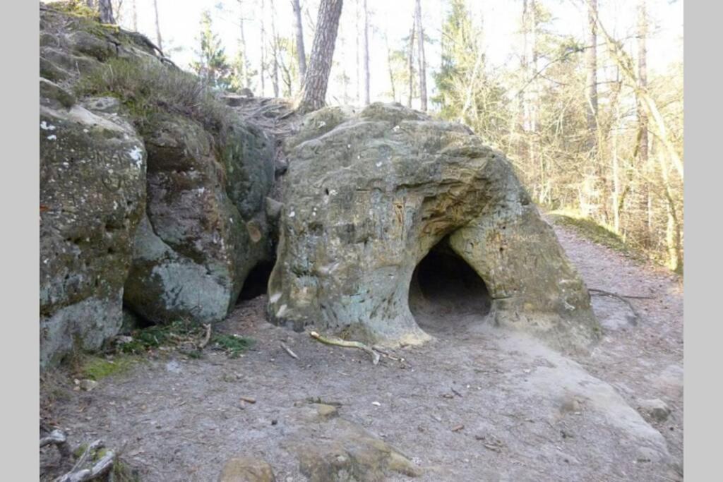Le repaire des belettes Vallée de Rabais Virton Extérieur photo